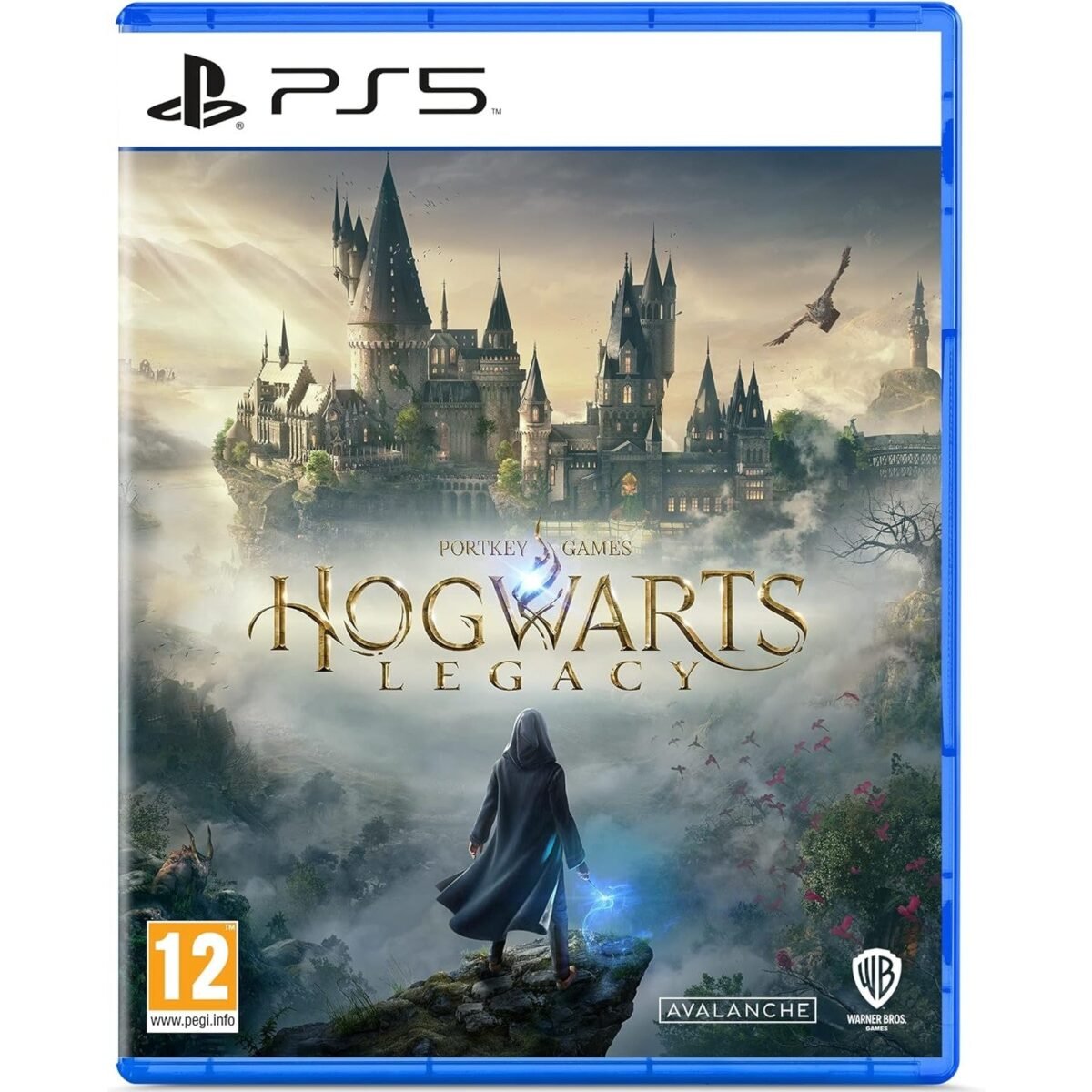 818zteRB8LL._AC_SL1500 Hogwarts Legacy (Sony Playstation 5) - Image 1